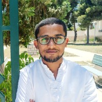 Hani Saidi