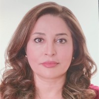 Simin Hashemi