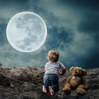 Muhammad Asif Hameed