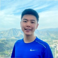 Vinicius Kenji Yamada