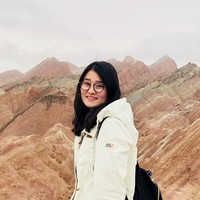 Star Liu DERUTU PLASTERING WALL MACHINE