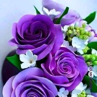Rafay Abro
