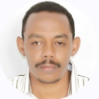 امير الطيب