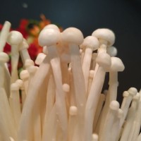 Borja Núñez González