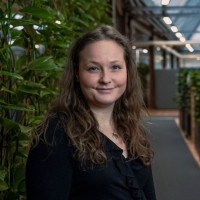 Rikke Kure Bergenstoff