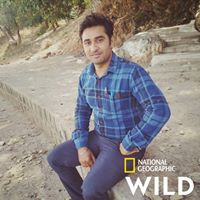 Deepak Kumar Yadav