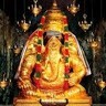 Chakkarapani L