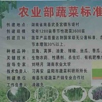 陈学武