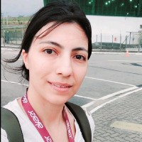 Maliheh Najafi