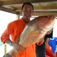 Dedy Nuryadi