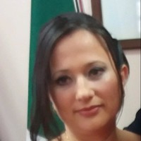 evis islamaj