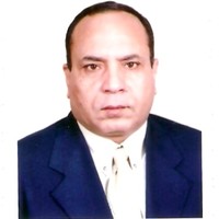 Salah El Hadidy