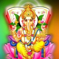 Bheema Harinath
