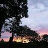 Deusa Santos