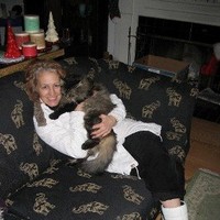 Cindy K. Lane