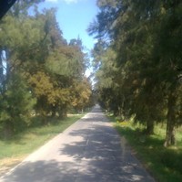 Omar Sandez