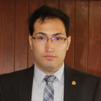 Raymundo M Salcedo Flores