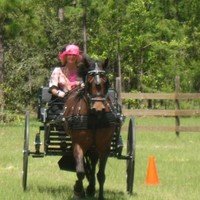 Sherri C Parker, CRB, CRS, GRI, SRES, e-pro, SFR