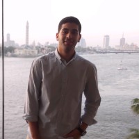 Assem Elbatoutii