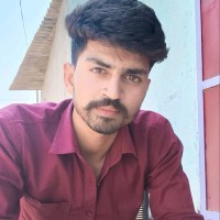 Raman Shekhawat
