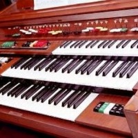 Organ Pro