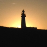 Mark Harvey MSET (QTLS)