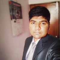 David Pal