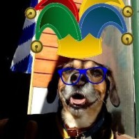 Lobo Duran