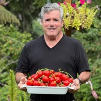 Bo Maisano