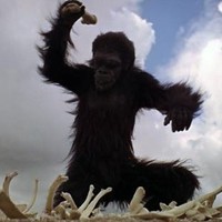 Account Executive Google