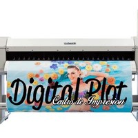 Digital Plot