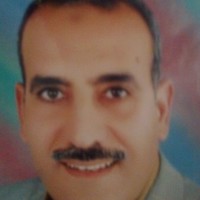 alsayed a. abdulaziz