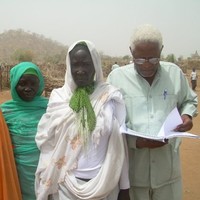 Saad Ali Babiker
