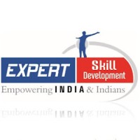 Expert Skill Development