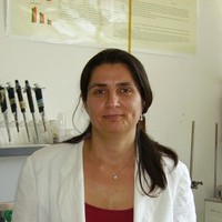 Sara Marinari