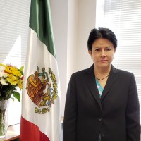 Paloma Villaseñor