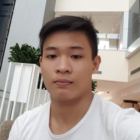 Minh Luan Lu