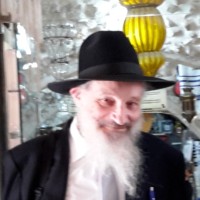 David Kirzner