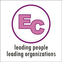 Everest consultancy