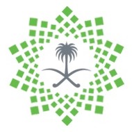 Reem F. Alotaibi