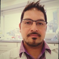 Mauricio Vega Vega
