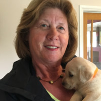 Sue Ash