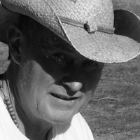 Don Taylor