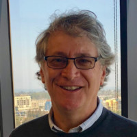 Steve Ginsberg