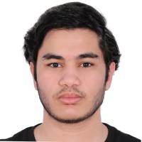 Feras Alhamer