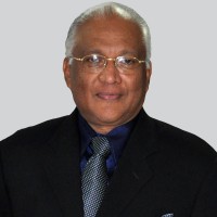 Nihal Sri Ameresekere, Professional Consultant