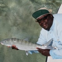 Stevie Ferguson