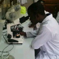 Adebayo Olayinka Phd