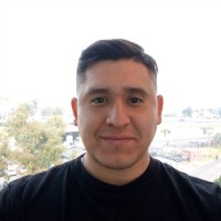 David Lizarazu