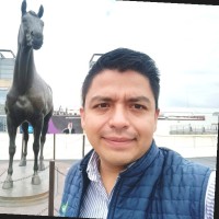 Alfredo Ahuja Vidaurri